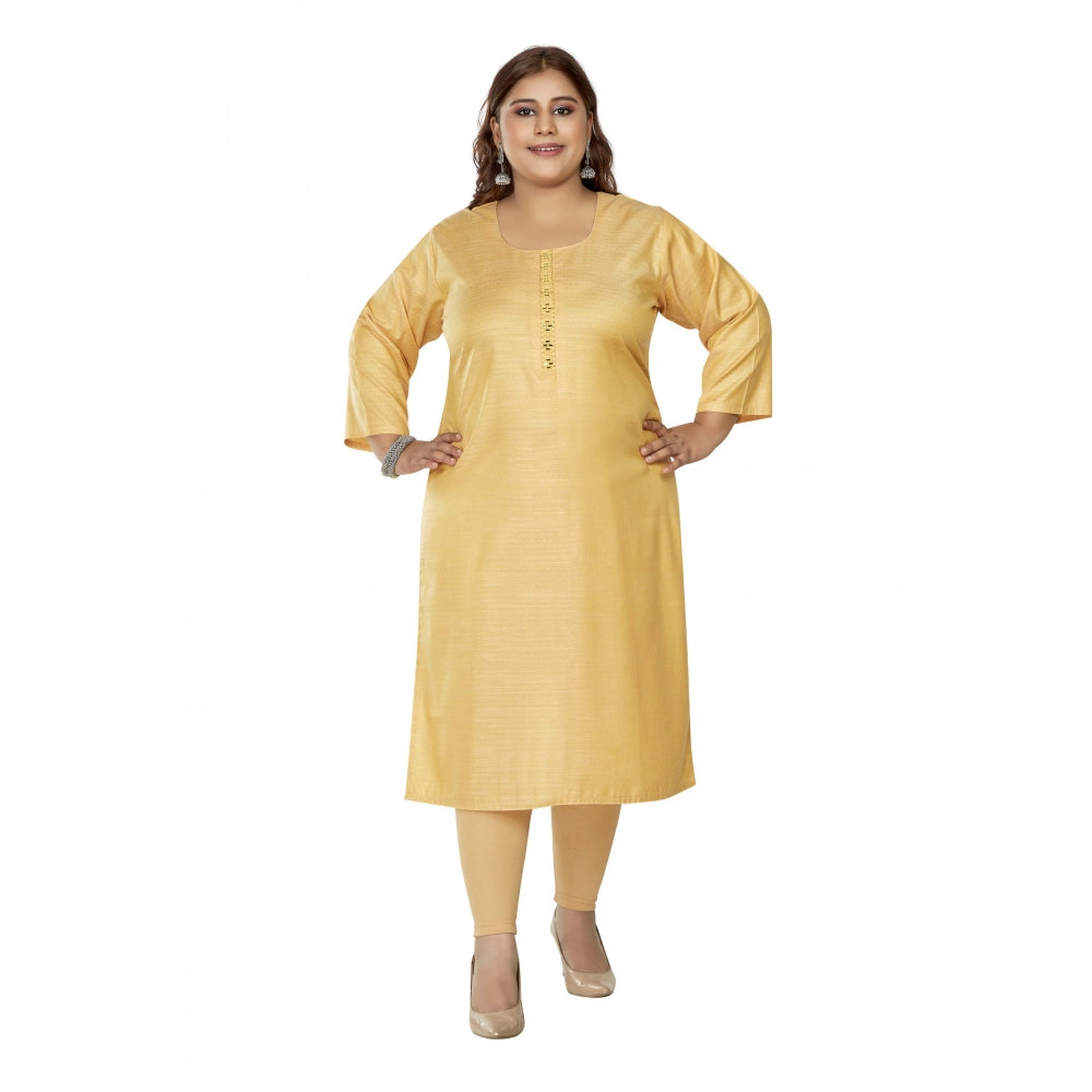 Casual Mirror Embroided Rayon Straight Kurti